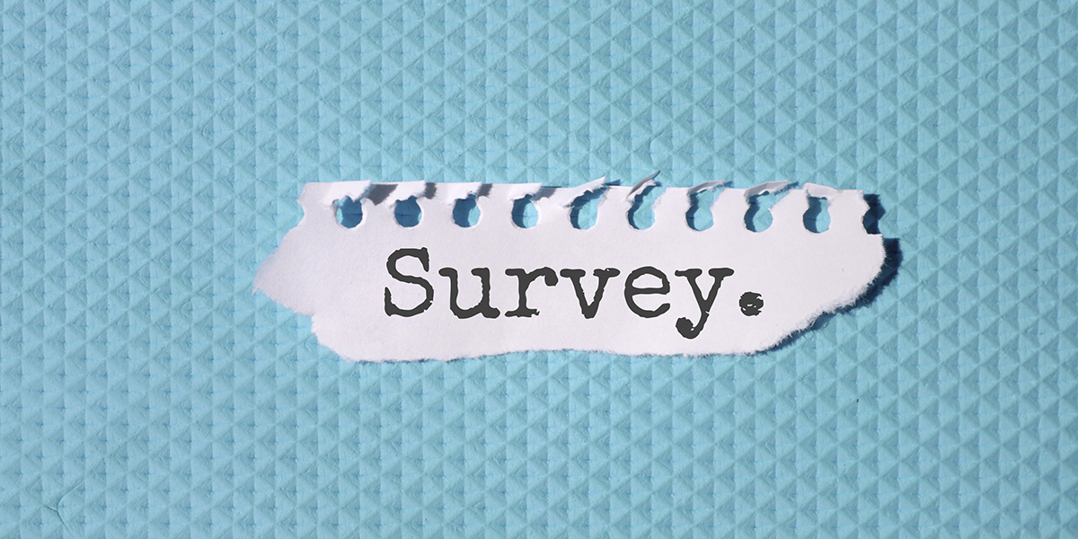 Survey - Friday (11/08/2024)